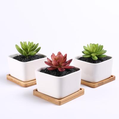 China Eco-friendly Best Selling Small Indoor White Ceramic Square Pots For Plants With Bamboo Base Wholesale for sale