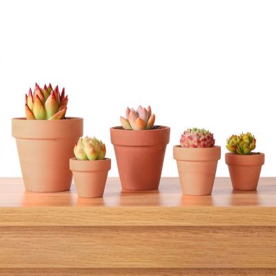 China Modern Wholesale Small Big Flower Clay Terracotta Terracotta Planter Pots For Plants for sale