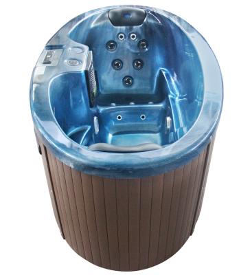 China 2 Person Freestanding Acrylic Bathtub Solid Spa for sale