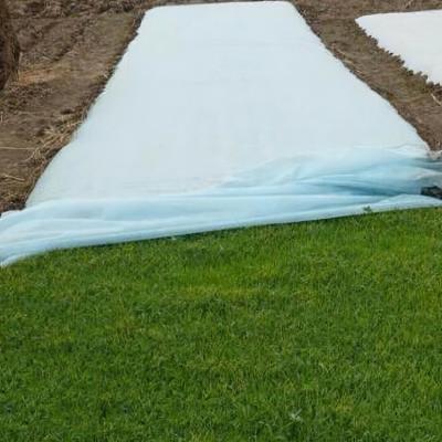 China Supplier Waterproof Polypropylene Nonwoven Agricultural Ground Cover for sale