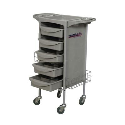 China - High quality hot sale and cheap portable 5 level ABS hair beauty salon trolley for sale