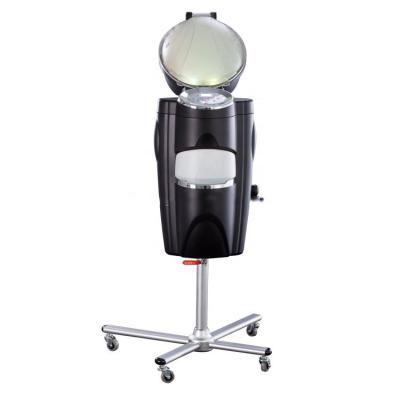 China China Sales CE Standing On The Floor Portable Salon Professional Hair Steamer 0.4L for sale