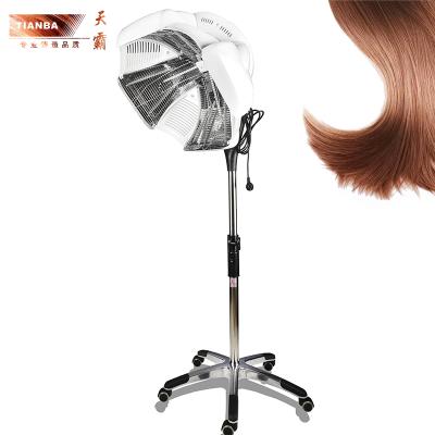 China Hot Selling Cheap Design Special Adjustable Stand Micro Mist Hair Steamer 73*73*56cm for sale