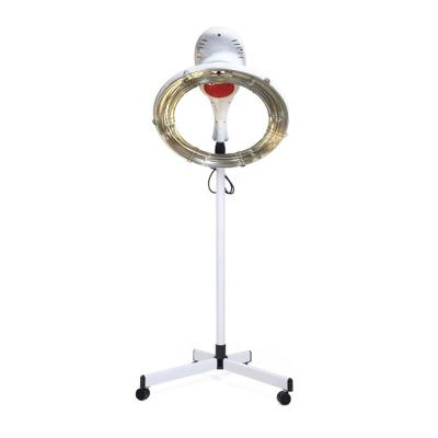 China Hair dryer hanging or standing on the other sale professional style button control for sale