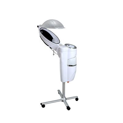 China Best Selling 7 Colors LED Micromist Hair Steamer Ozone For Hair Styling Tools 0.4L for sale