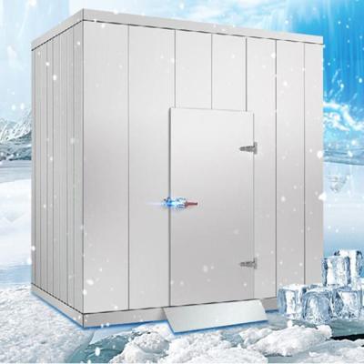 China food & Beverage factory refrigerated vaporizer cold room with monoblock door lock compressor accessories negative price from pick up van truck for sale