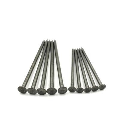 China Common Nail Iron Nail Factory Prices Iron Wire Nail Common Round Wire Nails à venda