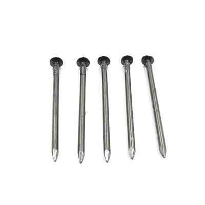 China Stainless Steel Ring Shank Common Nails wire iron nail with good price zu verkaufen