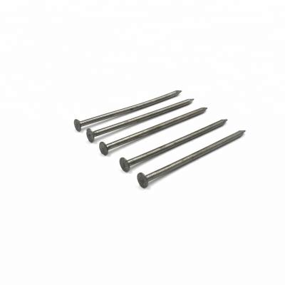 China High Quality Low Carbon Steel Common Wire Nails Iron Wire Nail zu verkaufen