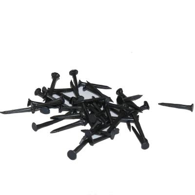 China Iron Q195 Raw Materials Black Shoe Nails for Ethiopia Market zu verkaufen