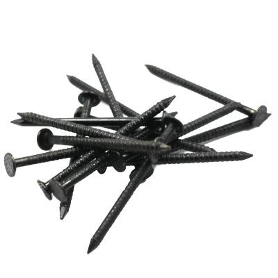 China high quality black ring shank roofing nail for Nigeria market zu verkaufen