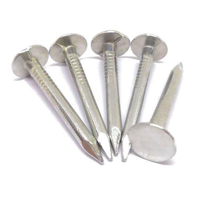 Κίνα 2021 The Flat Head Clout Nail For Roof With Best Price Drywall Screw Nail προς πώληση