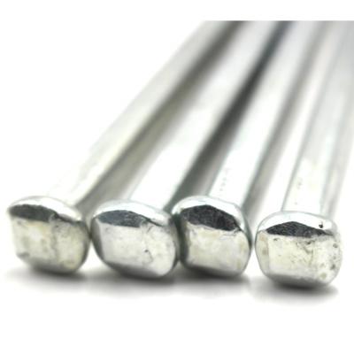 China Good Quality Square Shank Nail Zinc Boat Nails Drywall Screw Nail Boat Nail/Square Nails Te koop