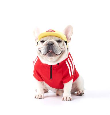 China Spring Sports Sustainable Fashionable High Quality Pet Dog Designer Clothes T Shirt for sale