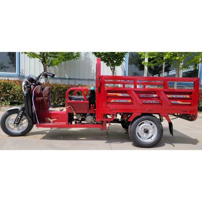 China Economical And Affordable Light Duty Cargo Family Use Small Motor Pedal Type Tricycle for sale