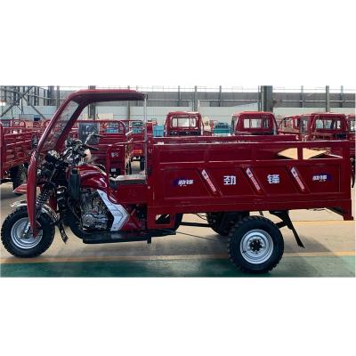 China China high quality gasoline gasoline fuel type motor cargo tricycle in hot sale for sale