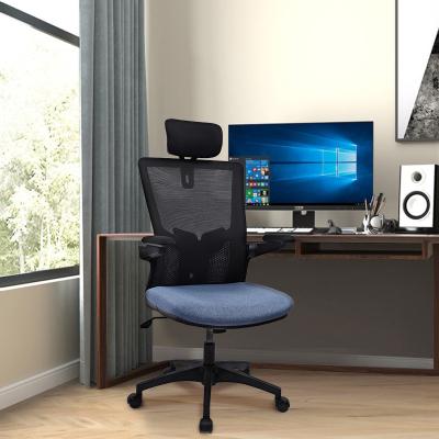 China Home Office Ergonomics Mesh Chair For Commercial Computer Adjustable (Height) for sale