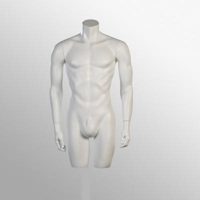 China Half Body Muscular Torso Male Fiberglass Mannequin for sale