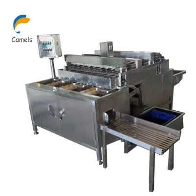 China Commercial Sourcing Hen Egg Peeling Machine Quail Egg Sheller Machine Boiled Egg Peeling Machine for sale