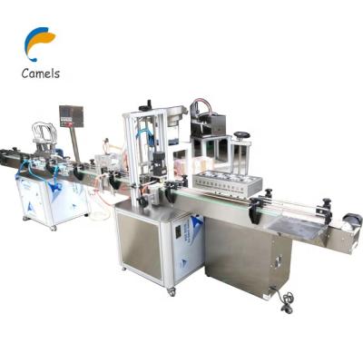 China Food Beverage Bottle Filling Machine Juice Bottle Filling Capping Machine for sale