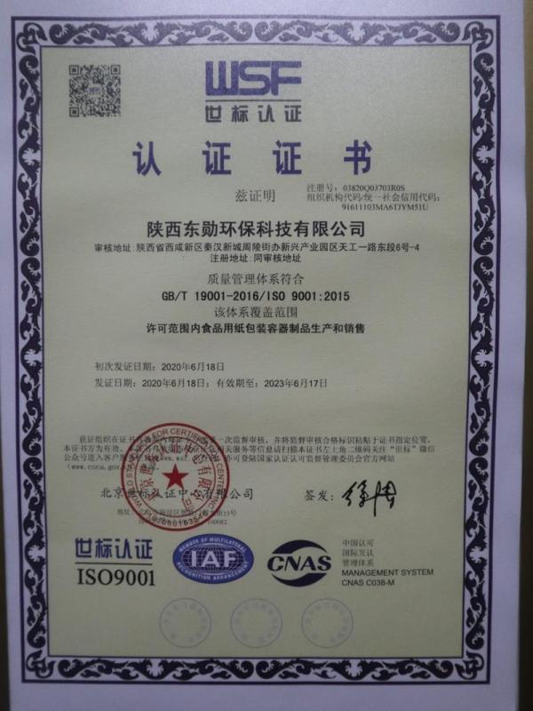 ISO9001 - Shaanxi Dongxun Environmental Protection Technology Co., Ltd.