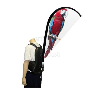 China Health Care Institute 2022 Hot Selling Custom High Quality Backpack Flag Banners for sale