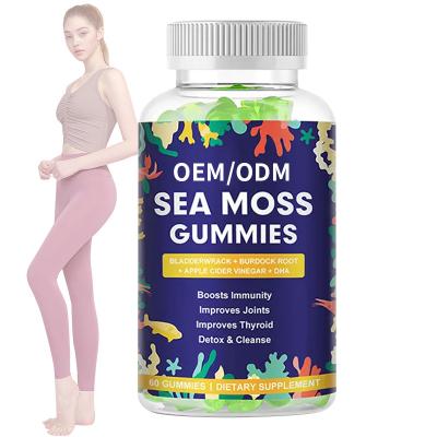 China Mens Private Label Seamoss & Bladderwrack Organic Vegan Sea Moss Fruity Gummies For Weight Loss for sale