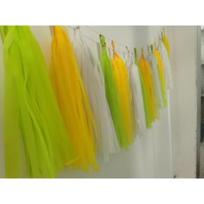 China Beautiful Colorful Rainbow Color Tissue Paper Tassel Garland For Adult Kid Birthday Party Supplie for sale