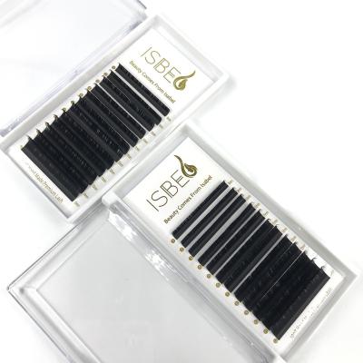 China Isabellash Delicate Eyelash Extension Dark Mink Eyelash Individual Korean Eyelash Extensions for sale