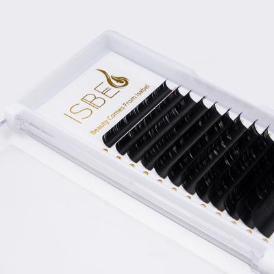 China Isabel Factory Supplies Individual Eyelashes Delicate Extension Professional for sale