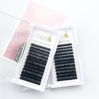 China Sensitive Wholesale Private Label Mink Individual Eyelash Extensions Russian for sale