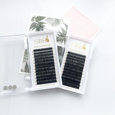 China Different Delicate Eyelash Extensions Korea Lash Extensions Mixed Length False for sale