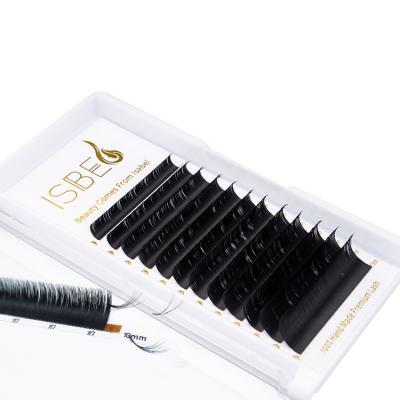 China Private Label Sensitive Easy Fan Volume Blooming Lashes Eyelash for sale