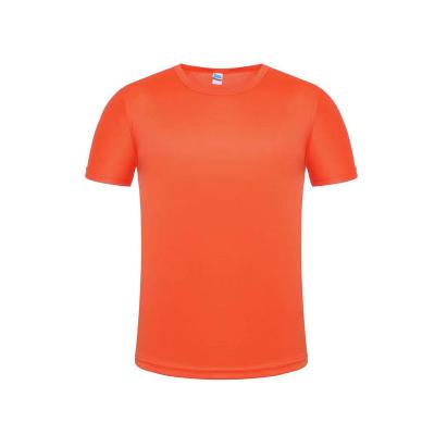 China High Quality Fitted 100% Anti-Wrinkle Short Sleeve Cotton T-Shirt for sale