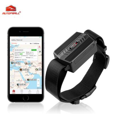 China Cows Sheep tk935b Voice Waterproof Surveillance Gps Animal Tracker Scares Collar Geofence Real Time Tracking Small Gps Device With Free App for sale