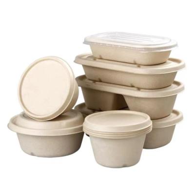 China Hot Selling 2 Compartment Biodegradable Sugarcane Bagasse Food Storage Container Food Packaging Container for sale