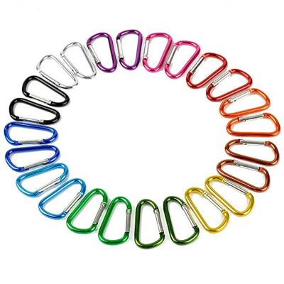 China Price General Industry Custom Logo Size Nice 65mm D Shape Exterior Aluminum Carabiner for sale