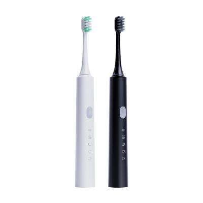 China Household Aiwejay Charcoal Sonic Toothbrush Private Sonic Electric Toothbrush OEM Eco-Friendly LOGO for sale