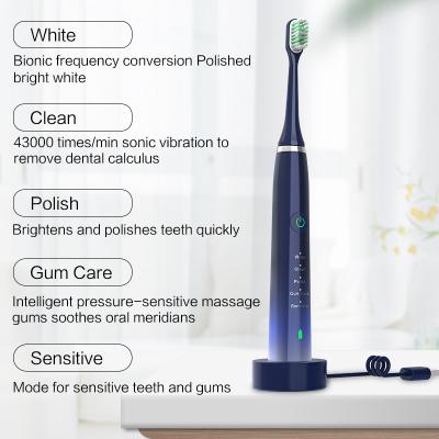 China Oral Electric Toothbrush Care Factory USB Rechargeable Teeth Cleaner Powered Vibrate Sonic Electric Toothbrush Automatic for sale