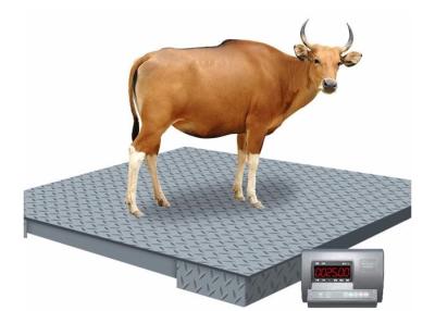 Cina 1.5*1.5m 3 Ton Industrial Floor Weighing Scales in vendita