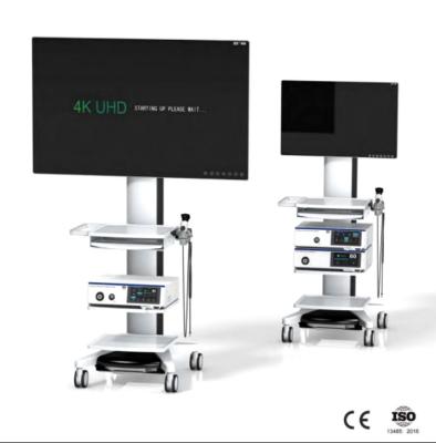 Cina Touch screen medico della macchina fotografica 7Inch dell'endoscopio 4K di BTH-9210 UHD in vendita