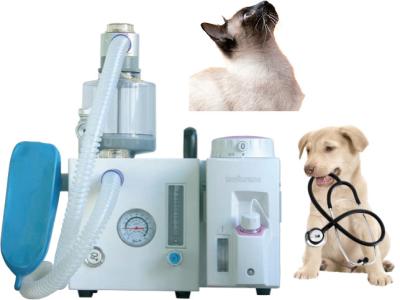 China DM6D-Veterinäranästhesie-Ventilator-kleines Tieranästhesie-System zu verkaufen