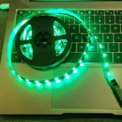 China Water Proof Residential Outdoor Garden Decoration TV Rectified White Color Changing 5V RGB Warm White Strip Lights USB Led Strip Light for sale