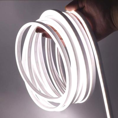 China LANDSCAPE IP68 12 LANDSCAPE Festival 24V Party Pool Bar Outdoor Waterproof PVC Silicone LED Neon Flexible Rope Strip Light for sale