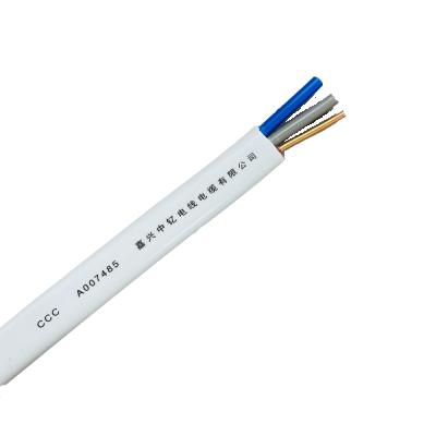 China Underground Electrical Flat Cable 2 Core 3 Core 1.5 2.5 Copper Wire 4sqmm PVC Jacket Household Power Cable for sale