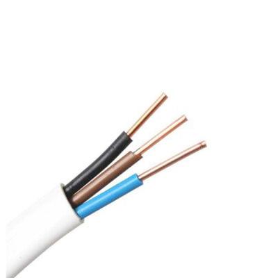 China BS6242Y Standard Twins PVC Flat Electrical Cable TPS 1.5mm2 2.5mm2 4.0mm2 for sale