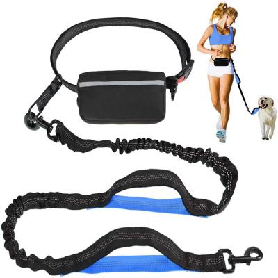 China Thoughtful Running Jogging Dog Training Hands Free Bungee Holding Belt Leash With Zipper Pouch Bag for sale