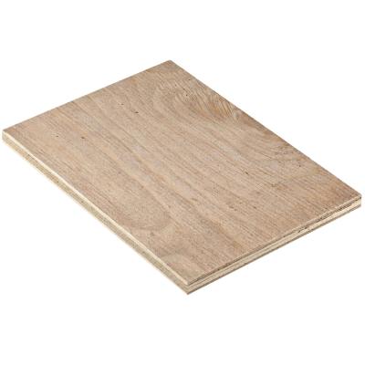 China Modern Ash Wood Veneer Plywood Beech Plywood For Furniture for sale