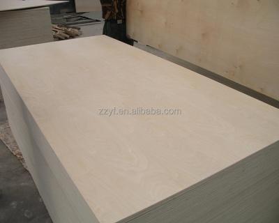 China modern plywood birch 21mm 25mm 27mm plywood for furniture from china manufacturer for sale