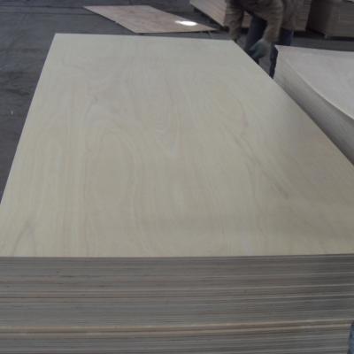 China Modern plywood 4ft x 8ft x 4mm 6mm 9mm 12mm 18mm 19mm plywood for sale